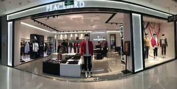 太平鳥(niǎo) 從日用百貨到時(shí)尚品牌的成功逆襲